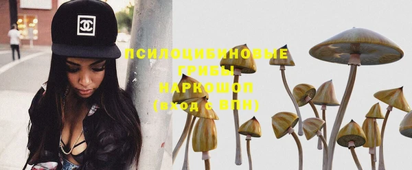 PSILOCYBIN Бронницы