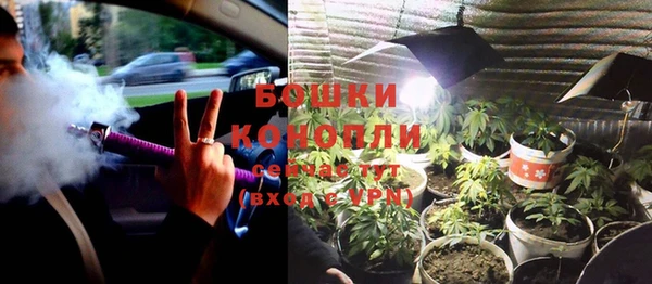 гидропоника Бородино