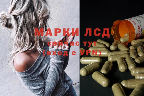 гидропоника Бородино