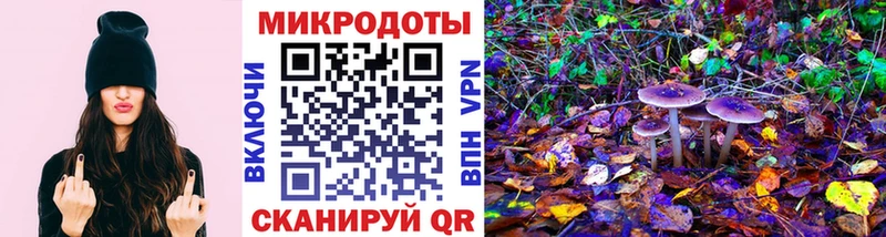 продажа наркотиков Новокузнецк Галлюциногенные грибы MAGIC MUSHROOMS