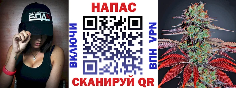 где купить наркотик Новокузнецк МАРИХУАНА планчик
